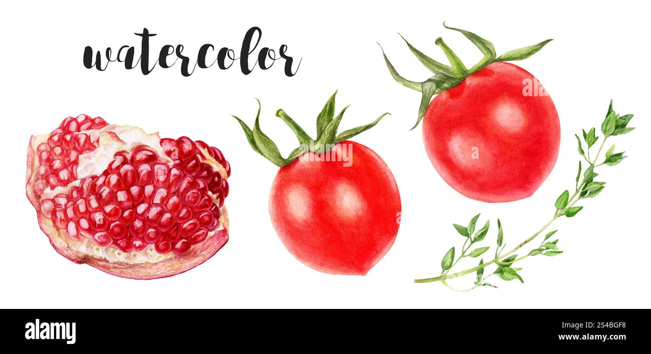 Illustrazione botanica di pomodori ciliegini ad acquerello, timo e fette di melograno dipinte a mano, isolata su bianco Foto Stock Illustrazione botanica di pomodori ciliegini ad acquerello, timo e fette di melograno dipinte a mano, isolata su bianco Foto Stock