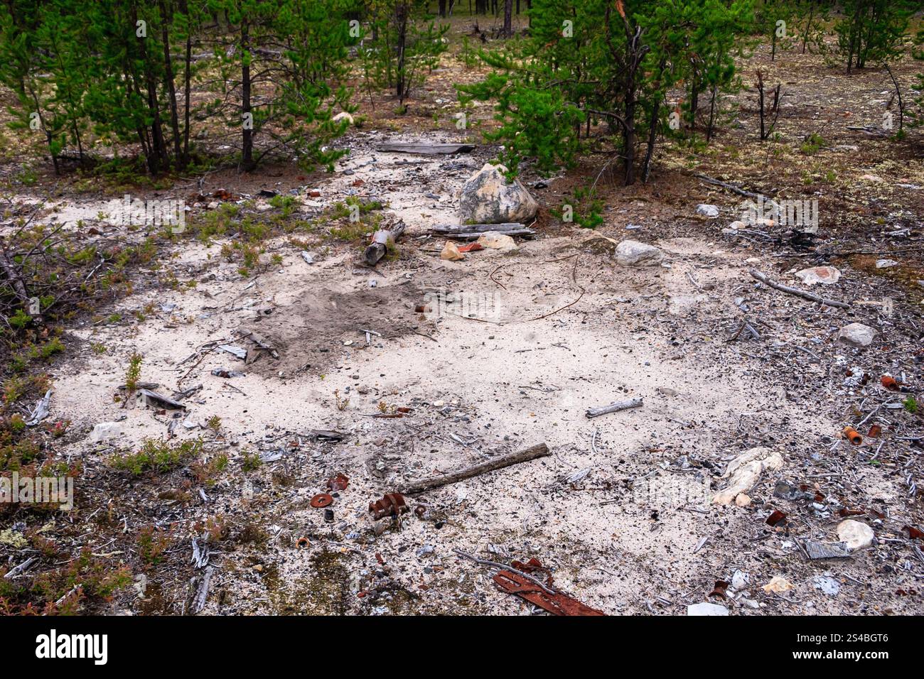 Un campo arido e roccioso con qualche albero sullo sfondo. L'immagine ha una sensazione desolata e solitaria Foto Stock