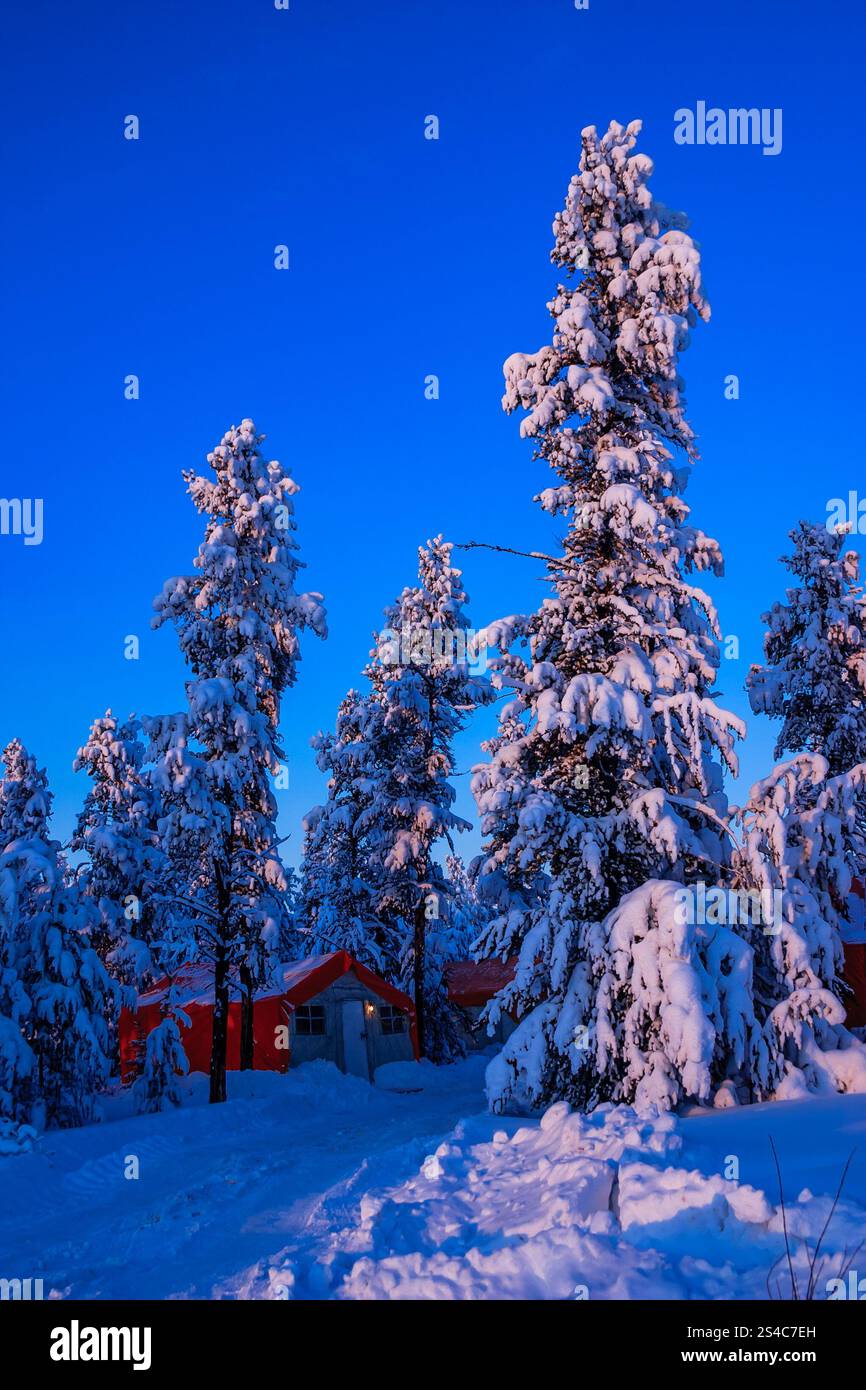 Una foresta innevata con una cabina rossa sullo sfondo. La cabina è circondata da alberi e il cielo è blu Foto Stock