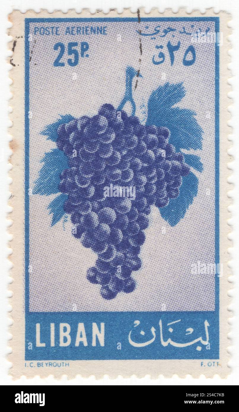 LIBANO - 1955 ottobre 15: 25 francobollo blu piaster e viola-blu Air Post raffigurante l'uva. Un'uva è un frutto, botanicamente una bacca, delle viti legnose decidue del genere vegetale in fiore Vitis. L'uva è un tipo di frutta non climacterica, generalmente presente in ammassi. La coltivazione dell'uva è iniziata circa 8.000 anni fa e il frutto è stato utilizzato come cibo umano nel corso della sua storia. Mangiate fresche o secche (uvetta, ribes e uva sultanina), le uve hanno un significato culturale in molte parti del mondo, in particolare per il loro ruolo nella vinificazione Foto Stock