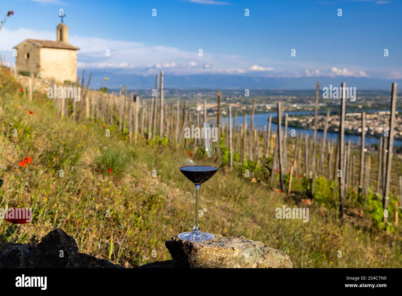 Vigneto Grand cru e Cappella di San Cristoforo, Tain l'Hermitage, Rodano-Alpi, Francia Foto Stock