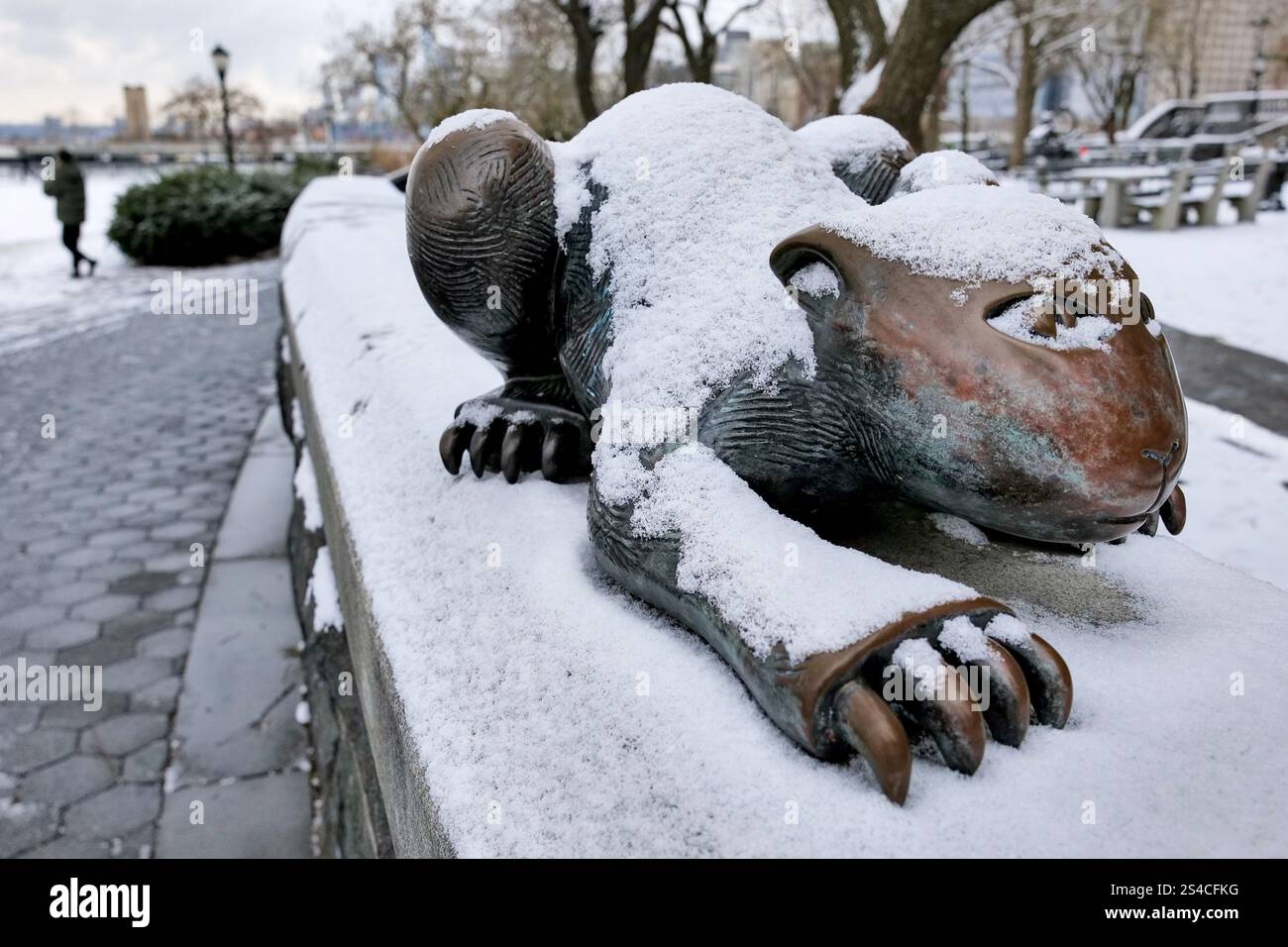 New York, New York, Stati Uniti. 11 gennaio 2025. Scultura per gatto Tom Otterness coperta da una spolveratura notturna di snow.in Rockefeller Park Tribeca. (Credit Image: © Milo Hess/ZUMA Press Wire) SOLO PER USO EDITORIALE! Non per USO commerciale! Crediti: ZUMA Press, Inc./Alamy Live News Foto Stock