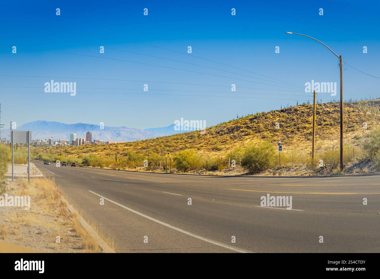 Una tortuosa strada desertica curva attraverso un paesaggio punteggiato di cactus, adagiato su uno sfondo di montagne lontane sotto un cielo azzurro. Foto Stock