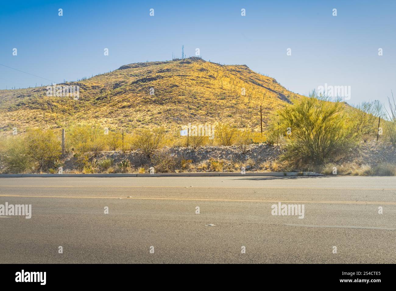 Una tortuosa strada desertica curva attraverso un paesaggio punteggiato di cactus, adagiato su uno sfondo di montagne lontane sotto un cielo azzurro. Foto Stock