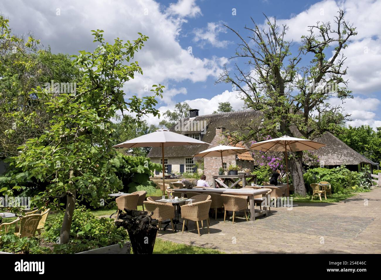 Un'area soleggiata all'aperto di una casa di campagna con tavoli e ombrelloni, circondata da alberi e vegetazione, Giethoorn, comune di Steenwijkerland, provino Foto Stock