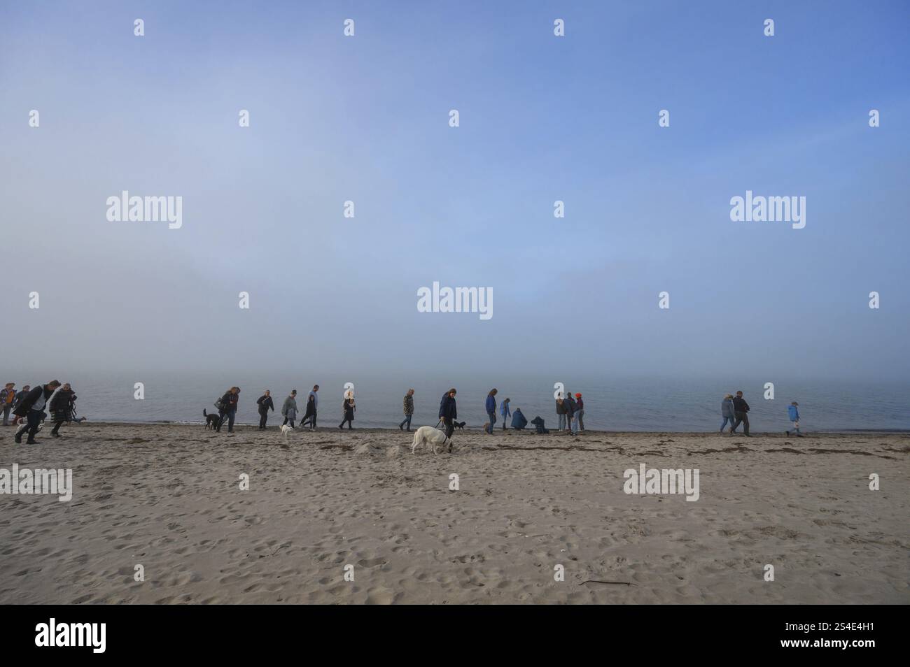 Passeggiata in spiaggia con cani al Mar Baltico al mattino, Meclemburgo-Vorpommern, Germania, Europa Foto Stock