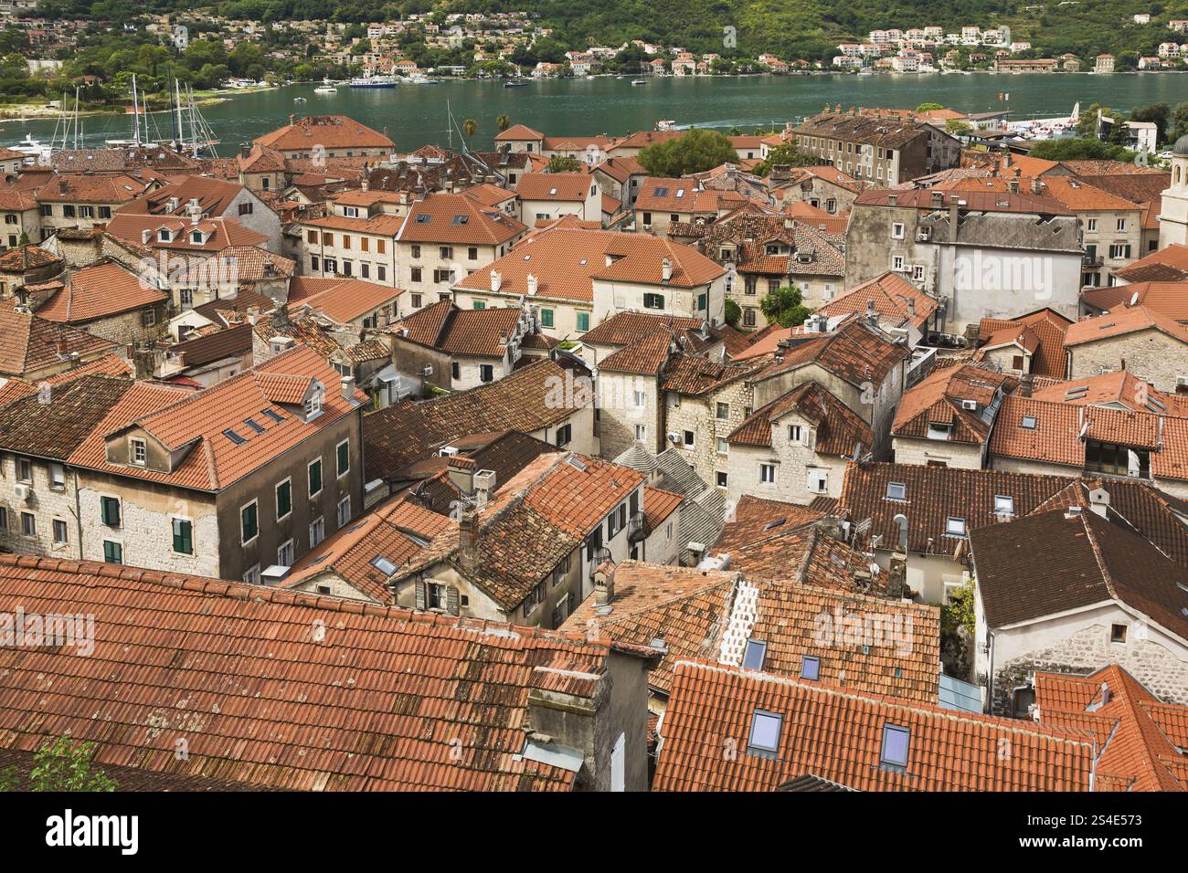 Vista ad alto angolo degli appartamenti e delle case ricoperte di tradizionali tegole di terracotta e della baia, città vecchia di Cattaro, Montenegro, Europa Foto Stock