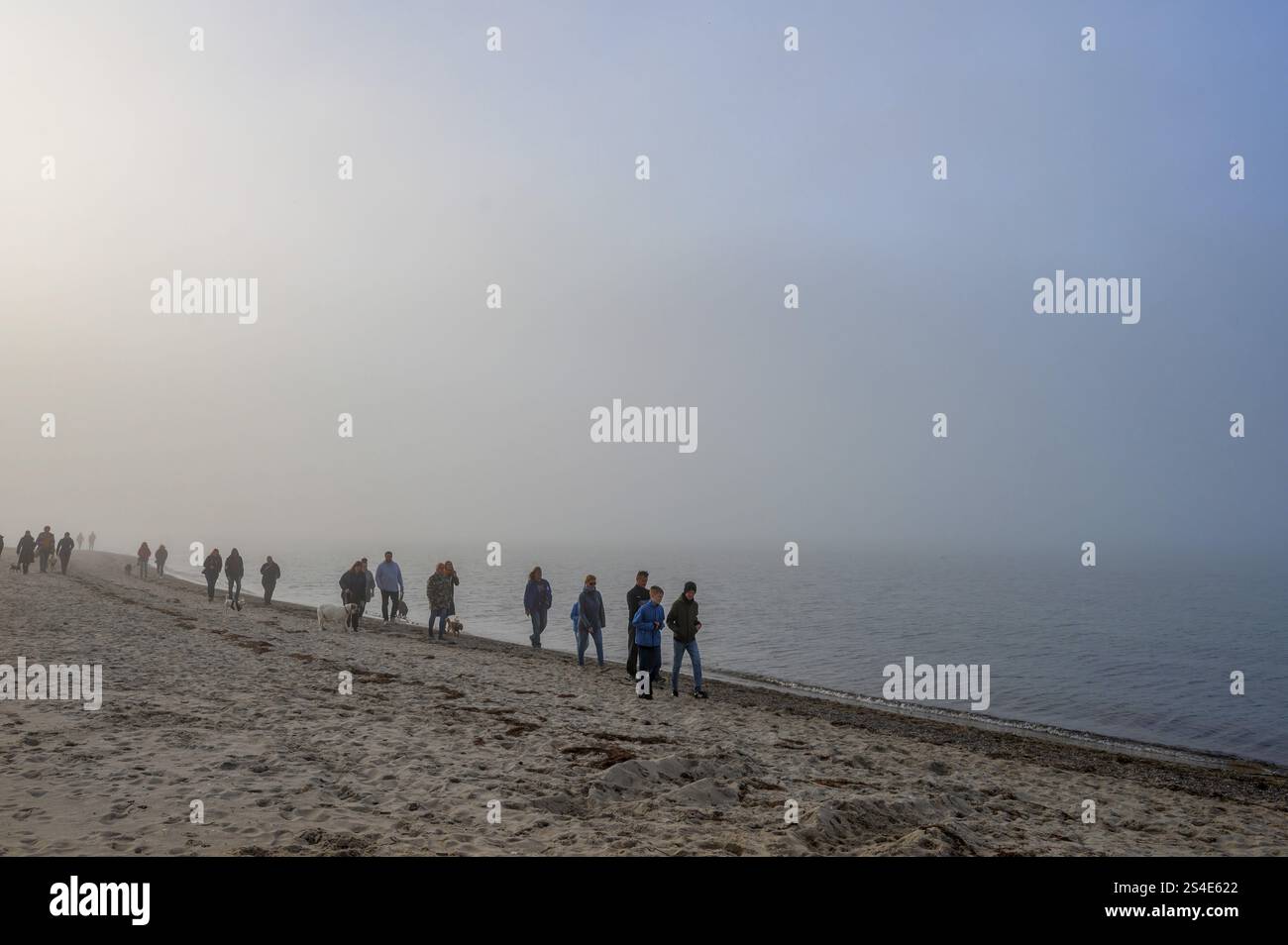 Passeggiata in spiaggia con cani sul Mar Baltico nebbioso, Meclemburgo-Vorpommern, Germania, Europa Foto Stock
