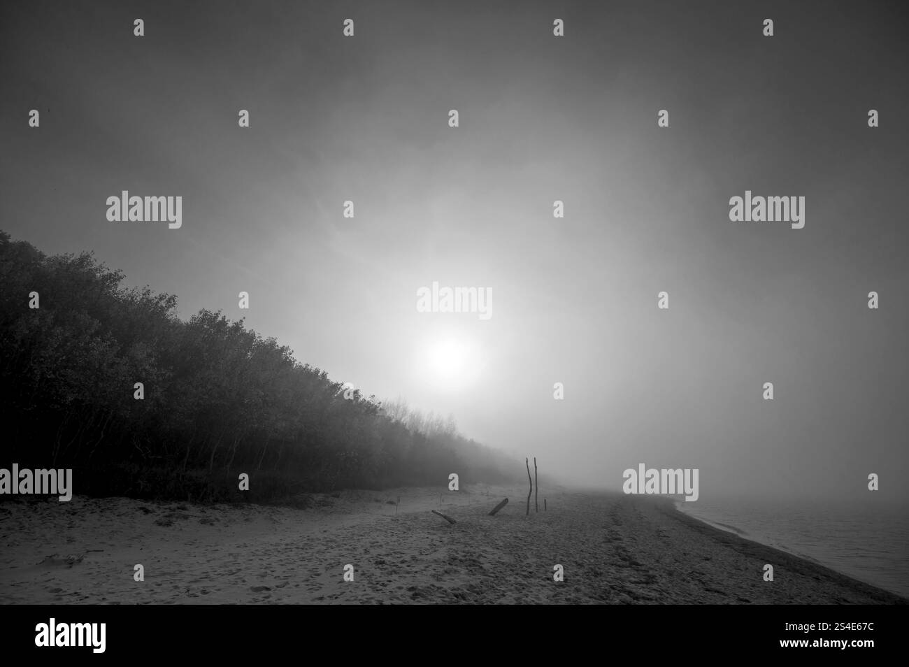 Sole al mattino nebbia sul Mar Baltico, Meclemburgo-Pomerania Occidentale, Germania, Europa Foto Stock