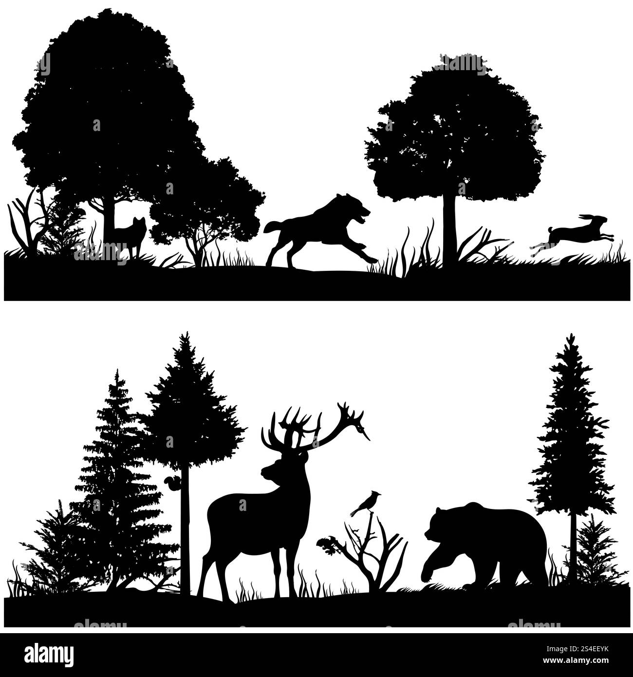 Le sagome degli animali selvatici sono raffigurate in un'illustrazione vettoriale della foresta di abeti verdi. Sagoma di animali in natura, pino di legno e animali. Le sagome degli animali selvatici sono raffigurate in un'illustrazione vettoriale della foresta di abeti verdi Illustrazione Vettoriale