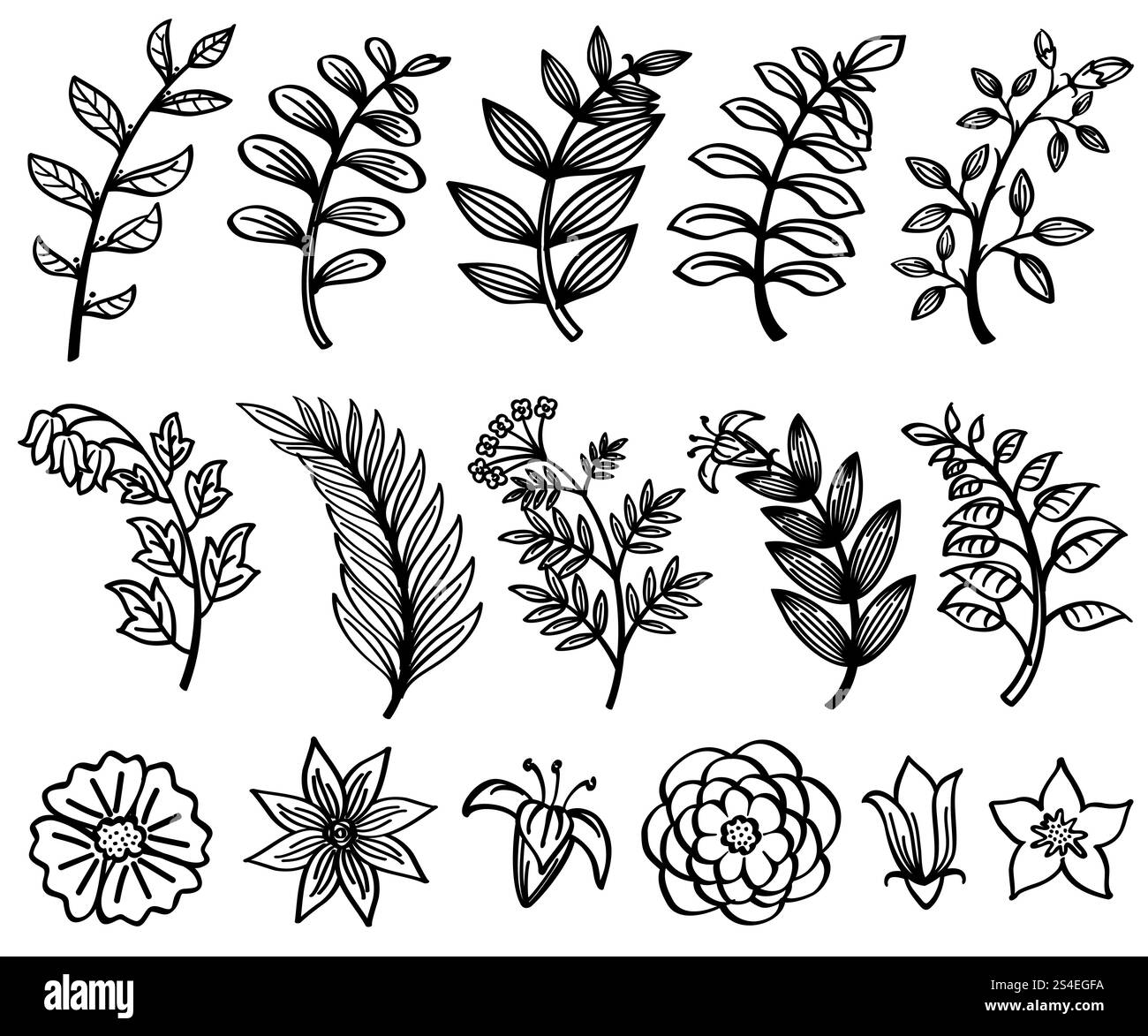 Disegna un ramo disegnato a mano e un elemento decorativo della natura floreale vettoriale delle foglie. Illustrazione di un fiore nero e floreale. Disegna un ramo disegnato a mano e foglie elementi decorativi floreali della natura Illustrazione Vettoriale