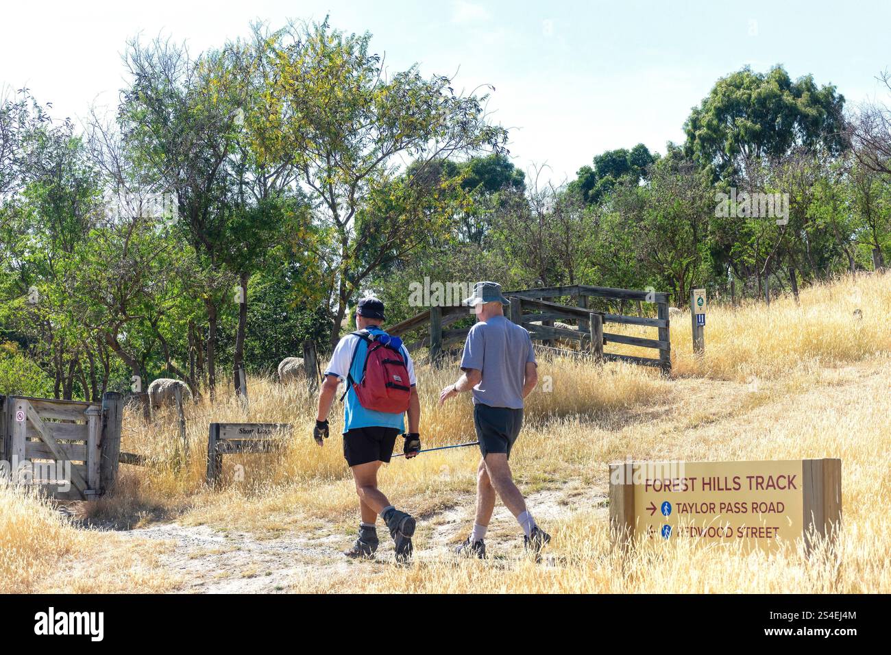 Passeggiate sul sentiero Forrest Hills, Wither Hills Farm Park, Blenheim (Waiharakeke), Marlborough Region, South Island, nuova Zelanda Foto Stock