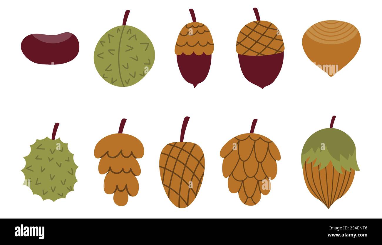 Graziosa collezione di noci autunnali e coni cartoni animati. Set da raccolta autunnale piatto. Accoglienti elementi di design autunnali. Illustrazione Vettoriale