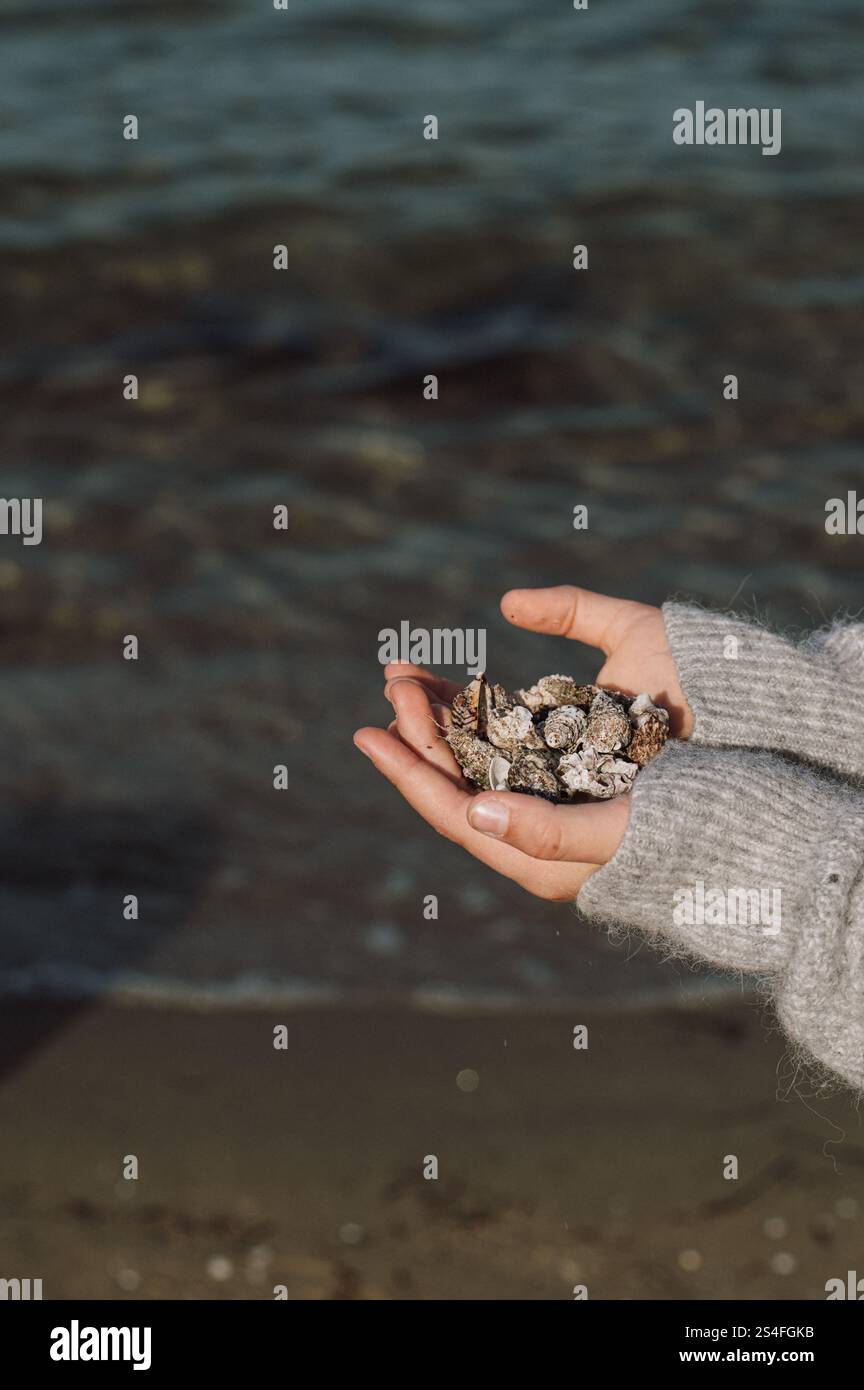 i bambini con conchiglie e altri animali che beachcomber trova in spiaggia in inverno con il sole Foto Stock