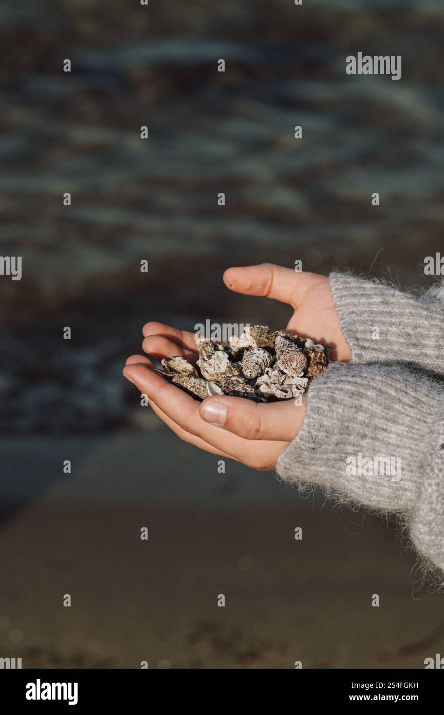 i bambini con conchiglie e altri animali che beachcomber trova in spiaggia in inverno con il sole Foto Stock