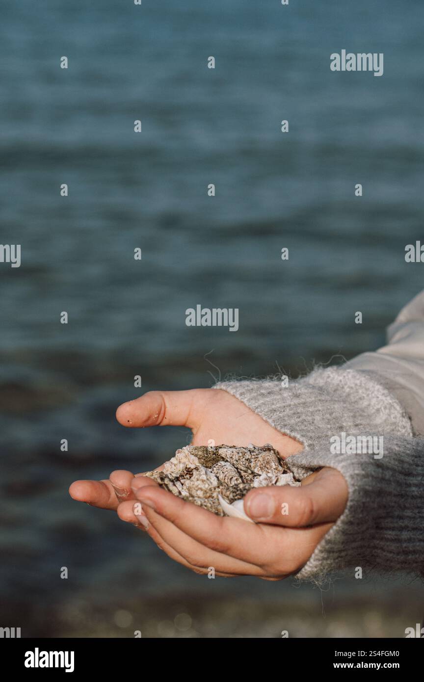 i bambini con conchiglie e altri animali che beachcomber trova in spiaggia in inverno con il sole Foto Stock