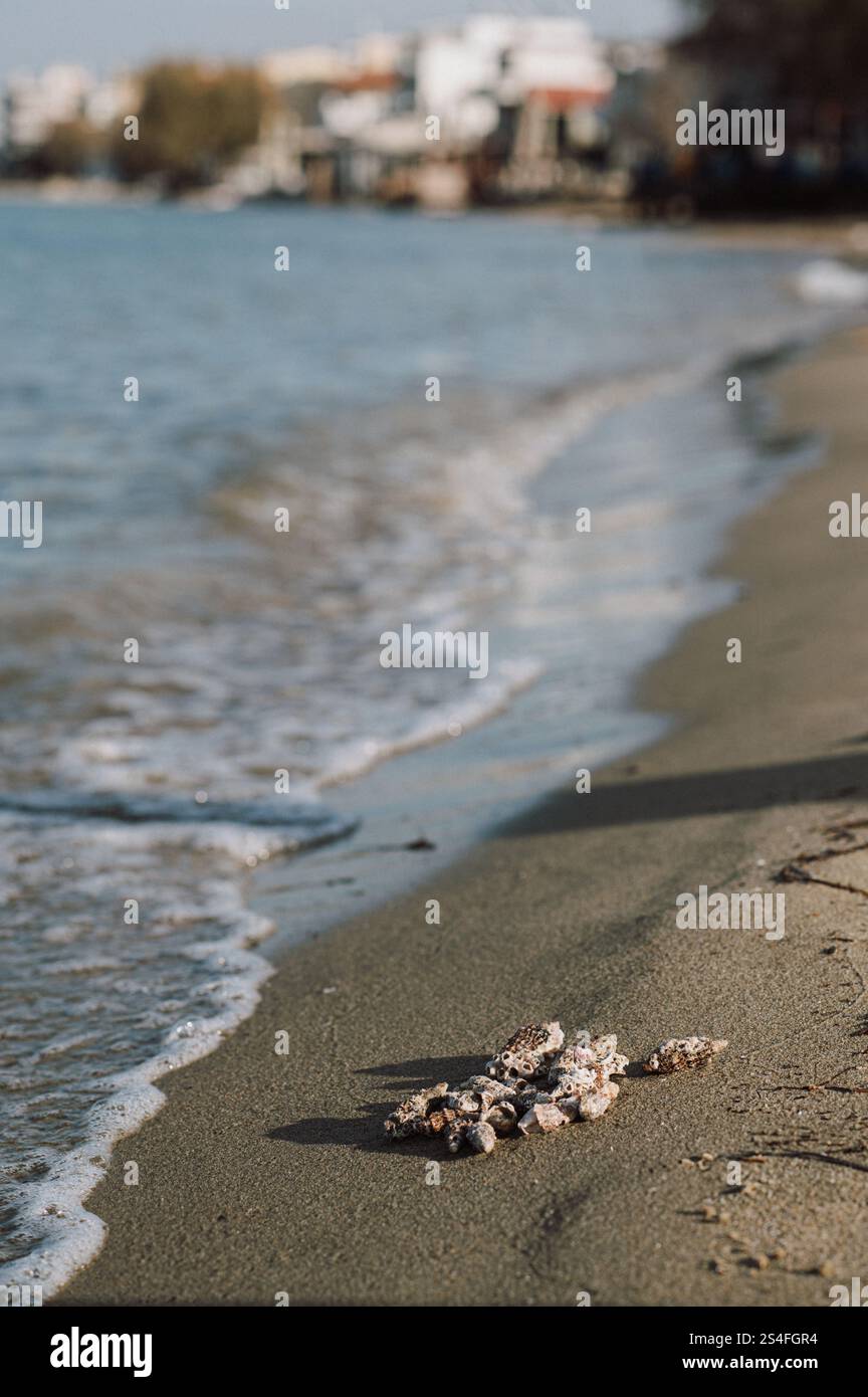 Piccolo villaggio di pescatori nel nord della Grecia durante la stagione media Foto Stock