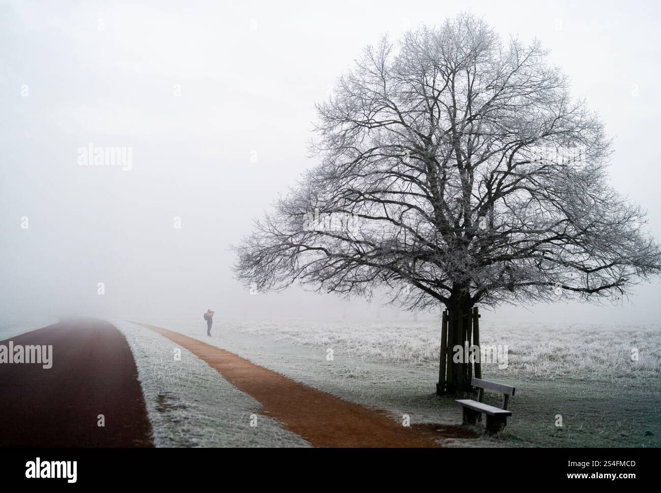 Camminate all'alba a Richmond Park, Londra. Gran parte del Regno Unito ha sopportato temperature al di sotto del congelamento durante la notte, mentre il freddo sprigiona in tutto il Regno Unito continua. Data foto: Domenica 12 gennaio 2025. Foto Stock