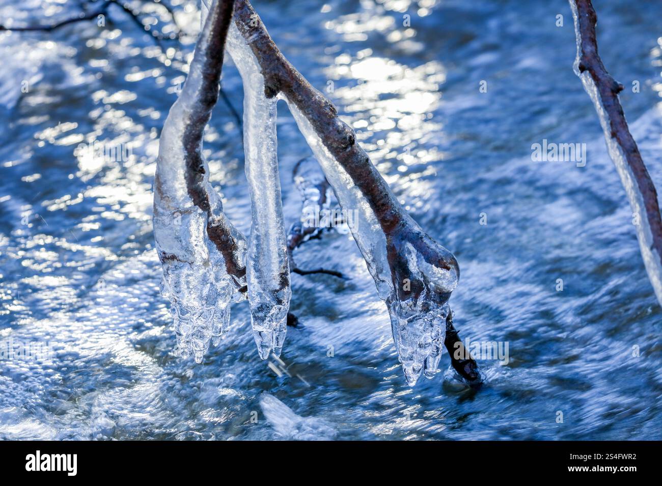 Fiume e ghiaccio su rami acqua corrente sfondo naturale Foto Stock