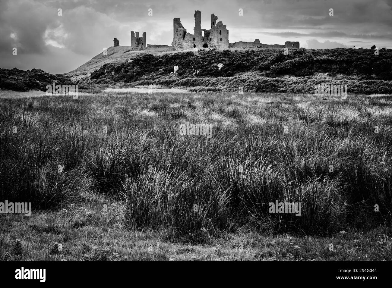 Dunstanburgh, Northumberland Coast Regno Unito. Le rovine del castello si vedono dal sentiero tra Craster e il campo da golf di Dunstanburgh. Zone costiere paludose Foto Stock