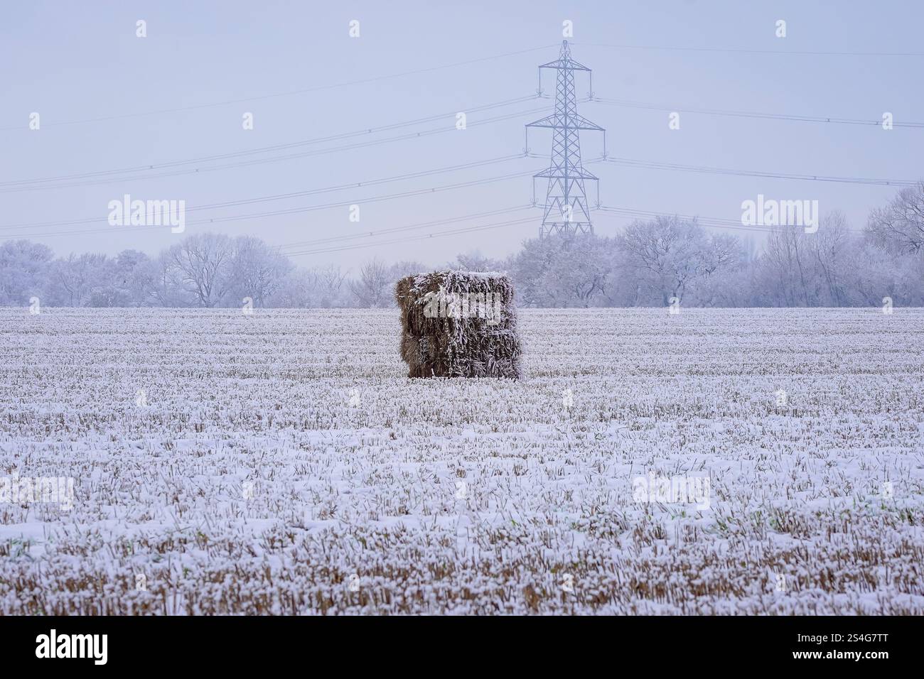 Il 2025 inizia con una copertura di neve a Warrington, sabato 11 gennaio 2025. Credito: James Giblin Photography. Foto Stock
