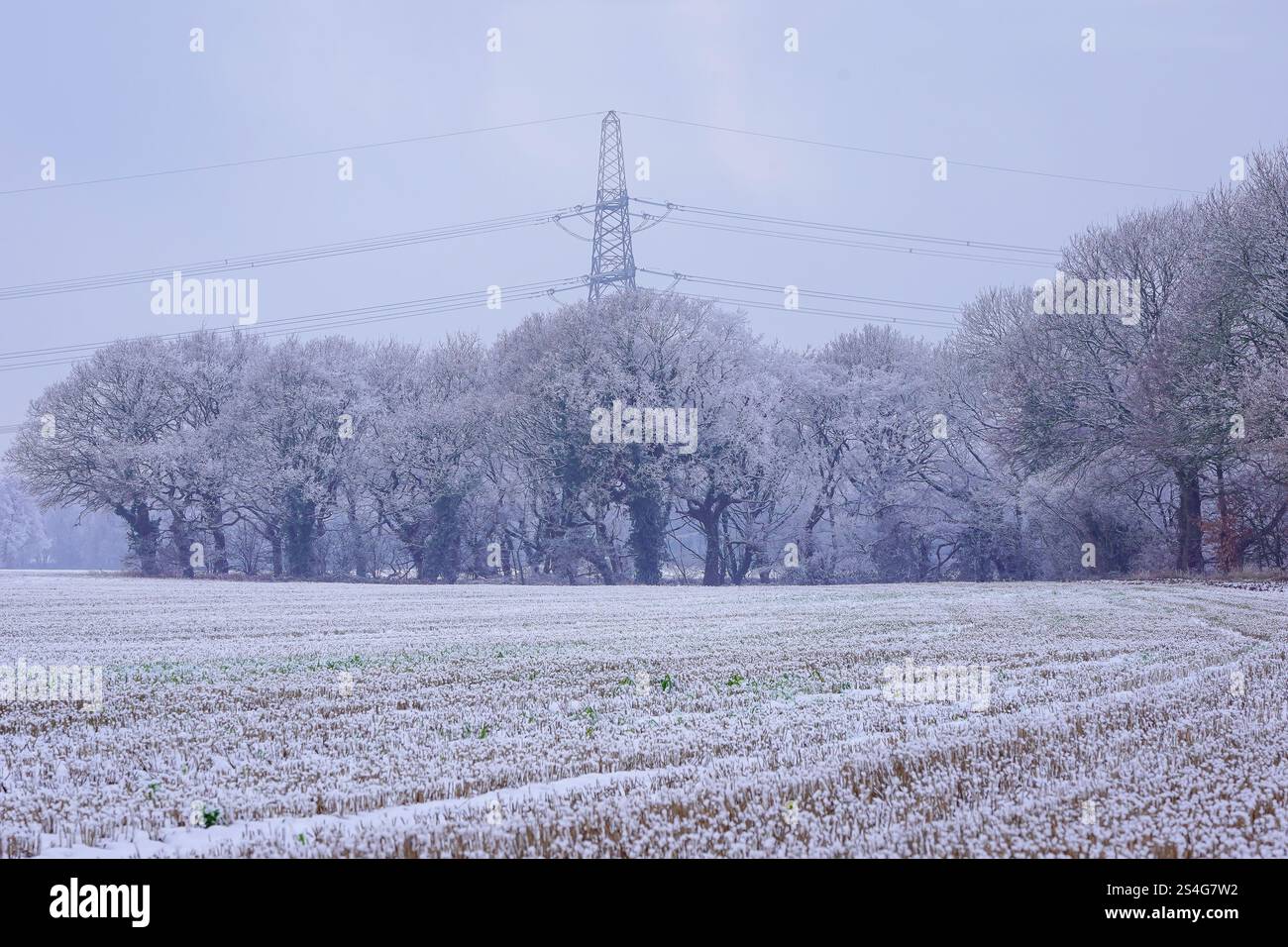 Il 2025 inizia con una copertura di neve a Warrington, sabato 11 gennaio 2025. Credito: James Giblin Photography. Foto Stock