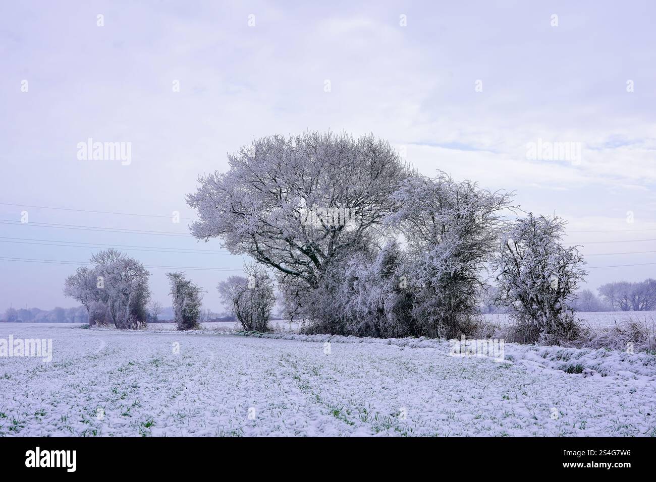 Il 2025 inizia con una copertura di neve a Warrington, sabato 11 gennaio 2025. Credito: James Giblin Photography. Foto Stock