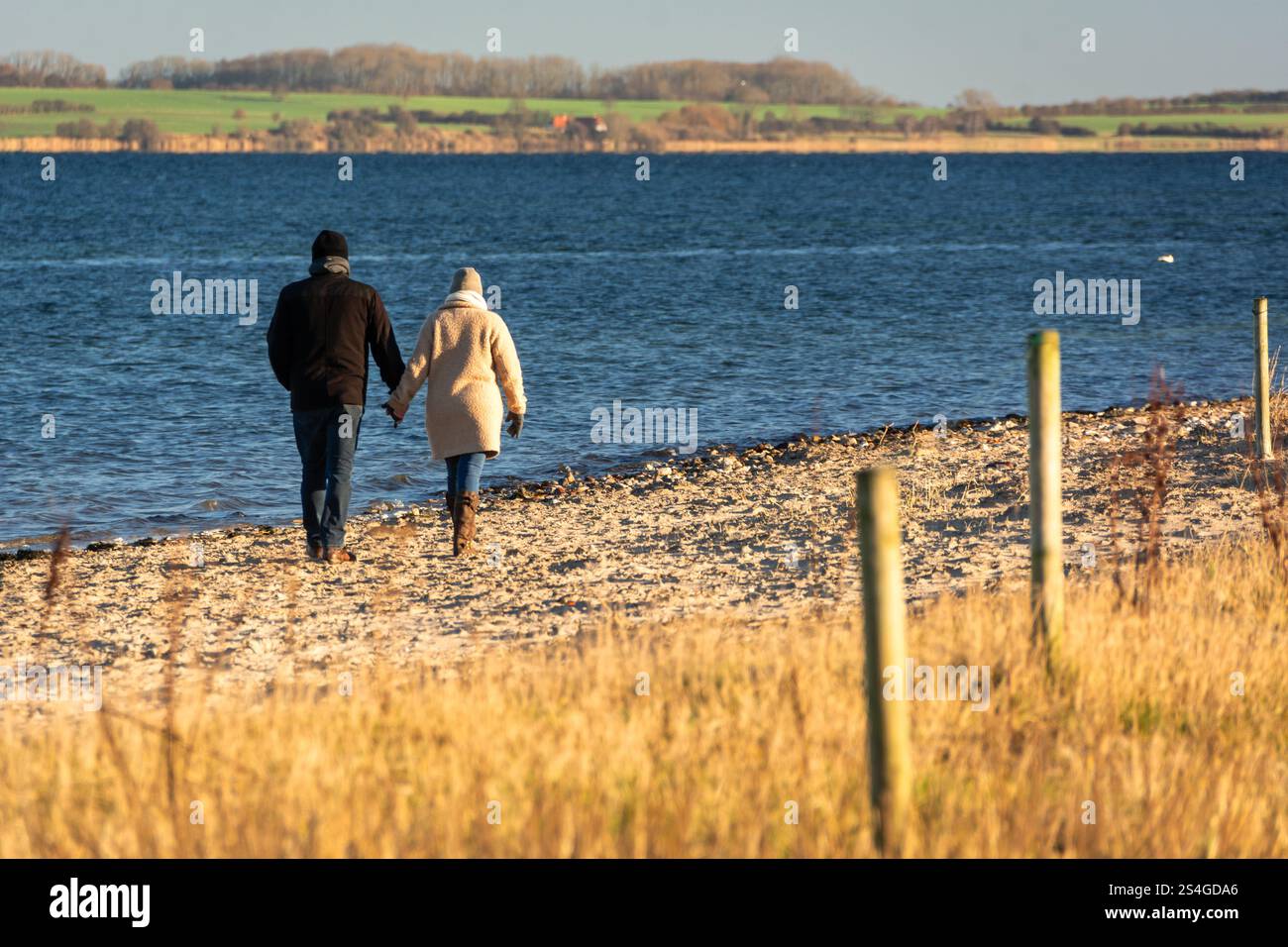 Coppia felice che cammina attraverso le dune nel paesaggio costiero del Mar Baltico Foto Stock