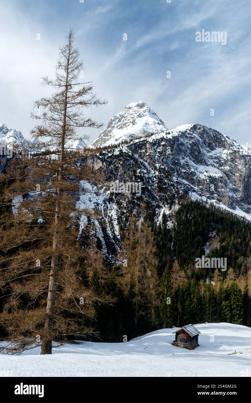 Winterliche Alpenlandschaft in Tirolo Foto Stock