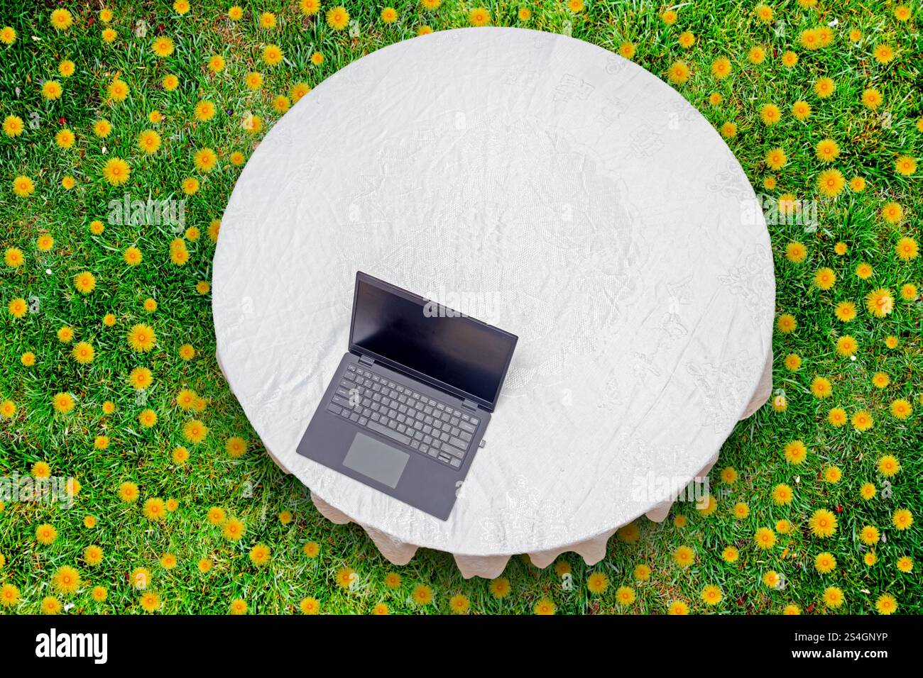 Laptop su un tavolo rotondo con tovaglia su un prato con fiori Foto Stock