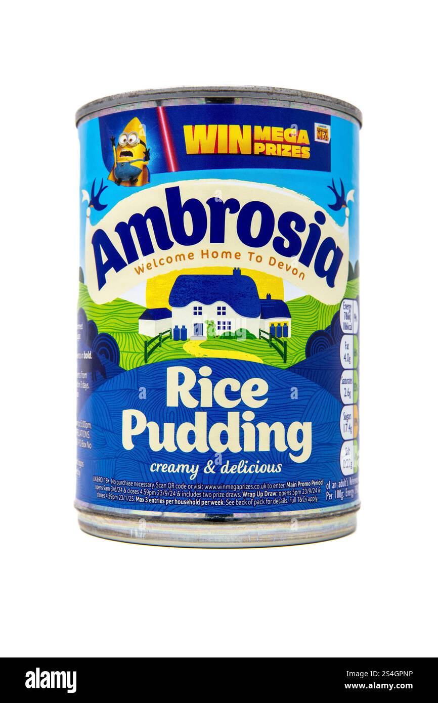 Ambrosia budino di riso. Foto Stock