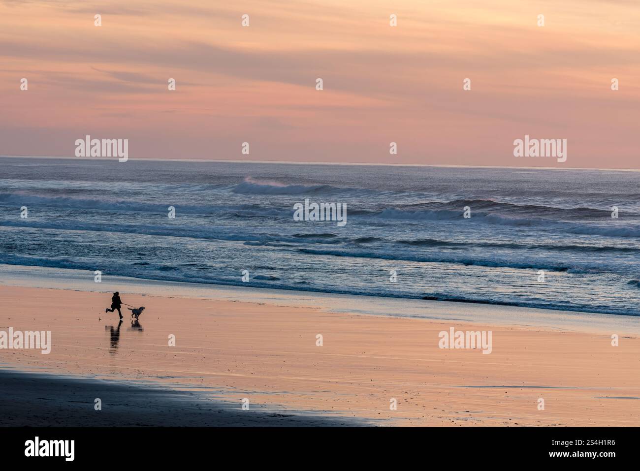 Correre con il cane, Kiwanda Beach, Oregon. Foto Stock