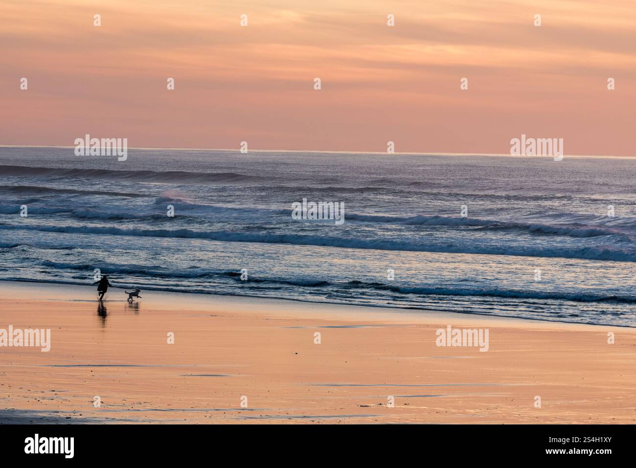 Correre con il cane, Kiwanda Beach, Oregon. Foto Stock