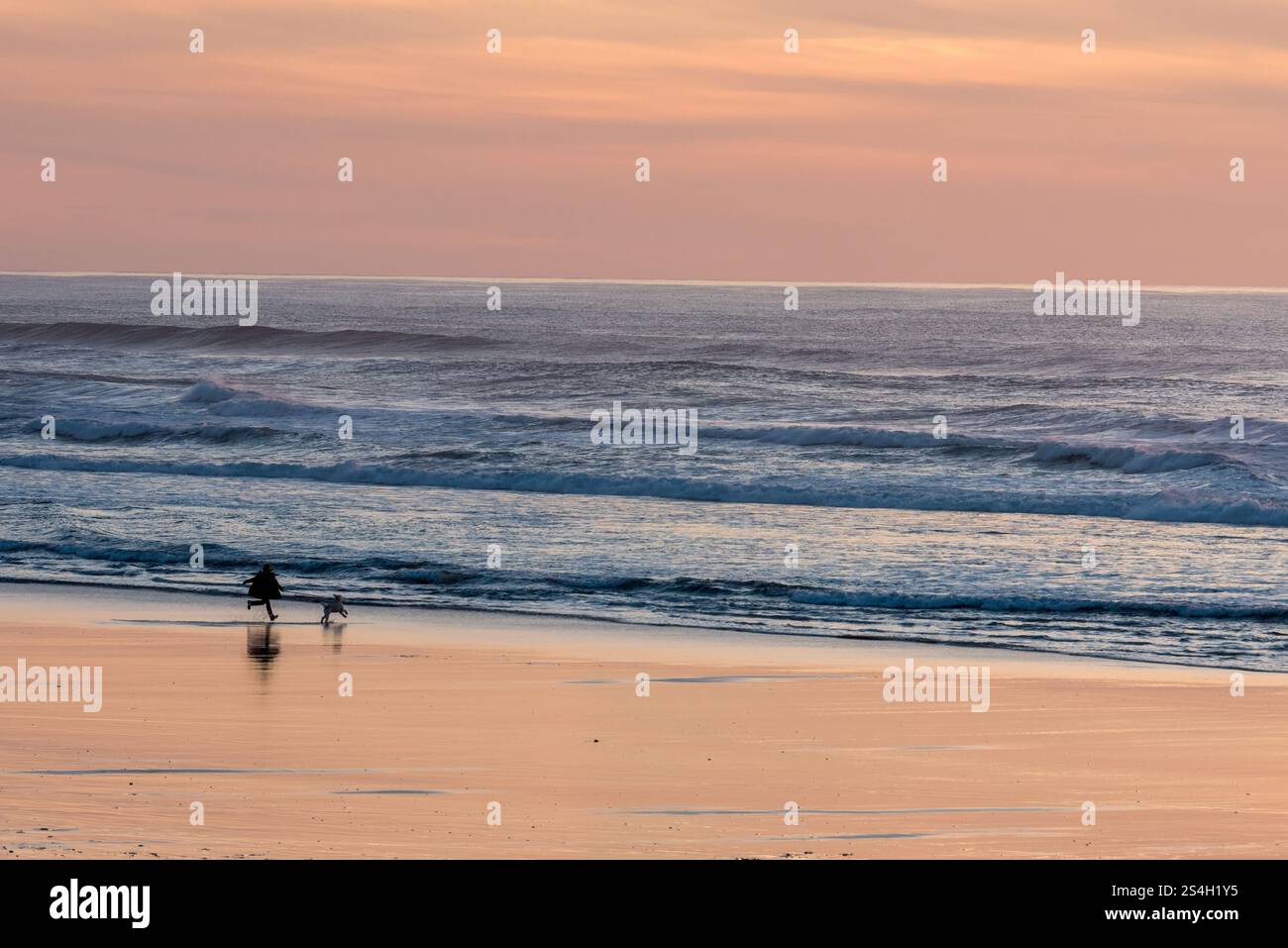 Correre con il cane, Kiwanda Beach, Oregon. Foto Stock