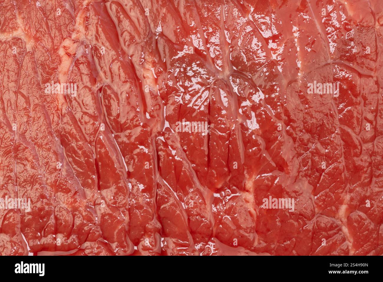 Prima di carne cruda di manzo Foto Stock