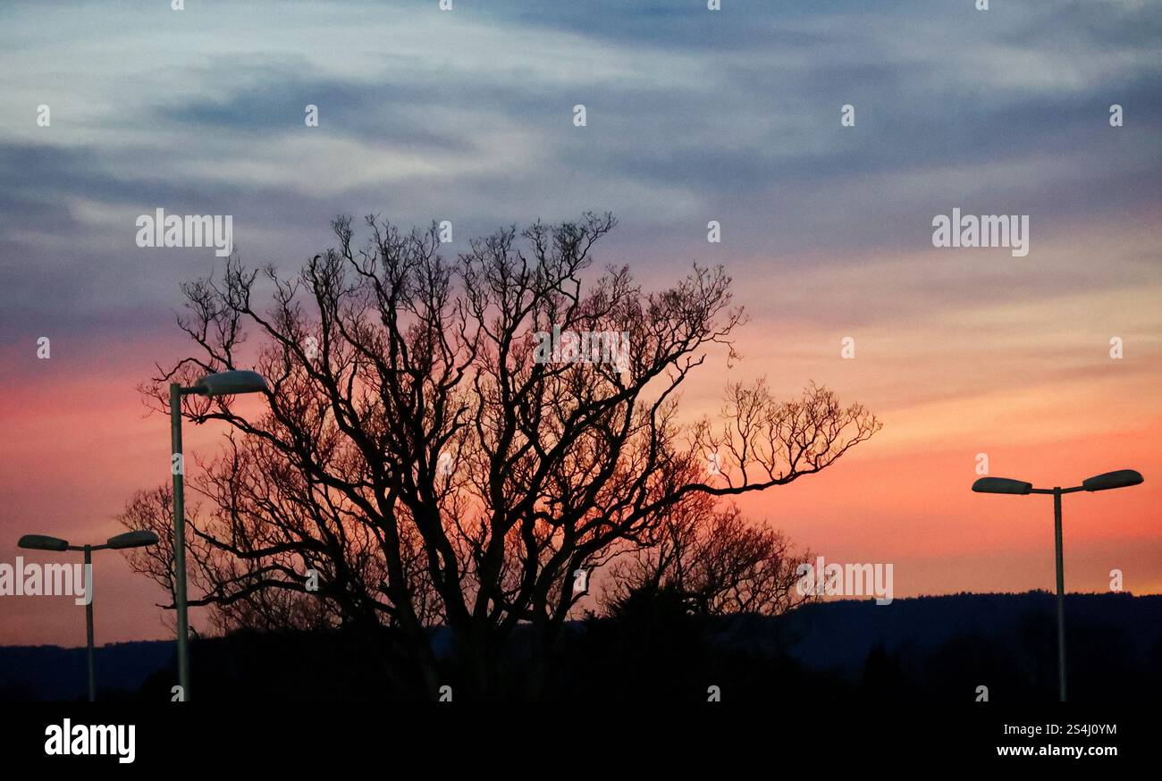 Exeter, Devon, Regno Unito. 12 gennaio 2025. Meteo nel Regno Unito: Tramonto da Sandy Park, Exeter, Devon. Crediti: Nidpor/Alamy Live News Foto Stock