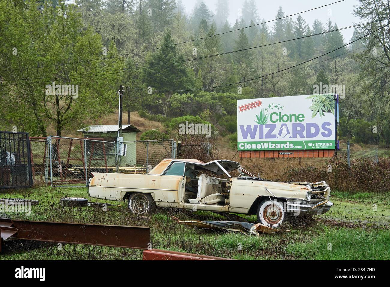 Vista laterale di un'auto spazzatura vicino a un cartellone per il vivaio di cannabis dei Clone Wizards a Willits, California. Foto Stock