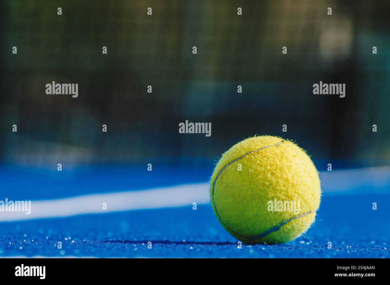 una palla da paddle tennis solitaria in un campo da paddle tennis blu, vista a livello della superficie. sfondo per il concetto di paddle tennis Foto Stock