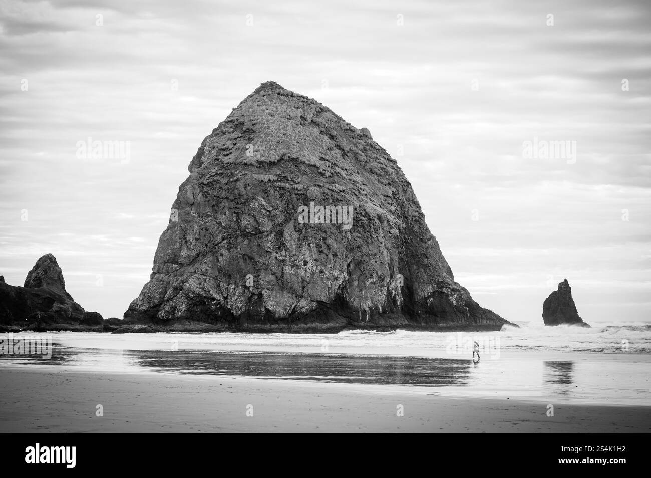 Turisti a Cannon Beach di fronte a Haystack Rock, Oregon. Lungo la Pacific Coast Highway, l'autostrada 101 che corre lungo la costa dell'Oregon. Nero e. Foto Stock Turisti a Cannon Beach di fronte a Haystack Rock, Oregon. Lungo la Pacific Coast Highway, l'autostrada 101 che corre lungo la costa dell'Oregon. Nero e. Foto Stock