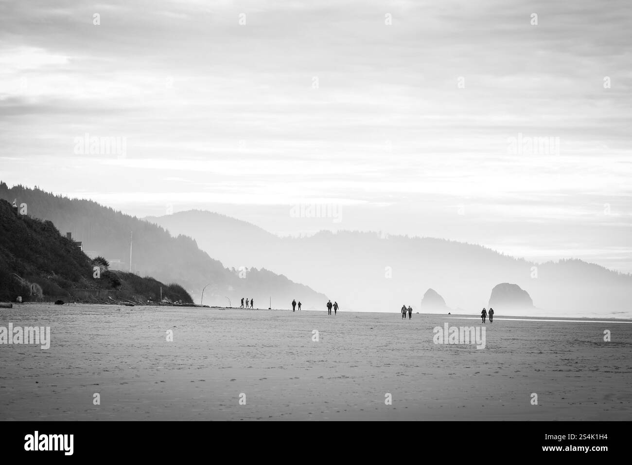 Turisti a Cannon Beach di fronte a Haystack Rock, Oregon. Lungo la Pacific Coast Highway, l'autostrada 101 che corre lungo la costa dell'Oregon. Nero e. Foto Stock Turisti a Cannon Beach di fronte a Haystack Rock, Oregon. Lungo la Pacific Coast Highway, l'autostrada 101 che corre lungo la costa dell'Oregon. Nero e. Foto Stock