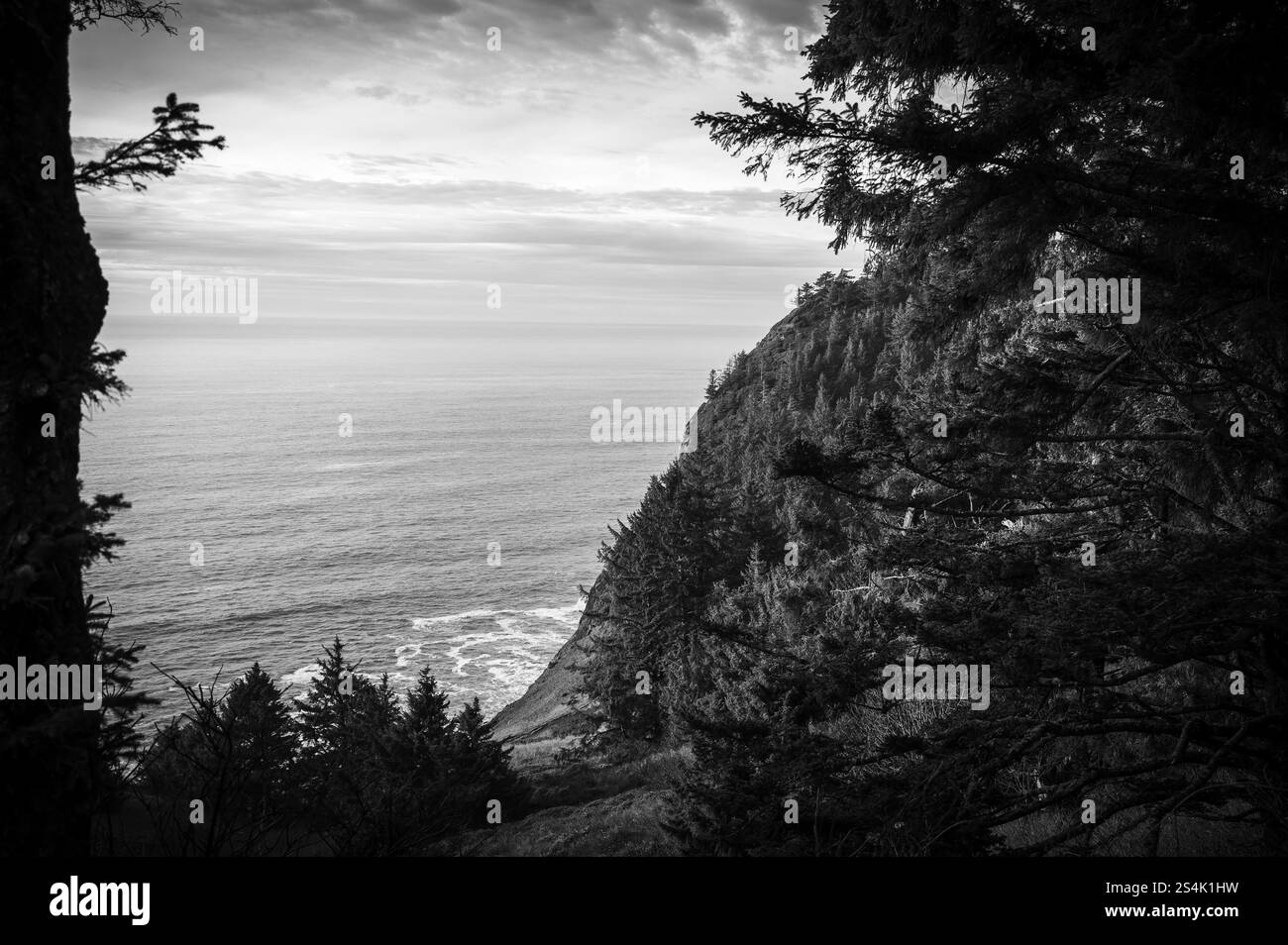 Una vista dell'Oceano Pacifico dal punto panoramico di Neahkahnie lungo la Pacific Coast Highway, l'autostrada 101 a sud di Cannon Beach, Oregon, lungo l'Oregon Foto Stock Una vista dell'Oceano Pacifico dal punto panoramico di Neahkahnie lungo la Pacific Coast Highway, l'autostrada 101 a sud di Cannon Beach, Oregon, lungo l'Oregon Foto Stock