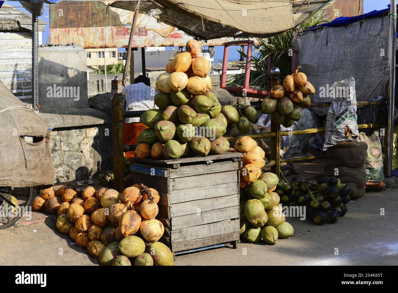 Madurai, India del Sud, India, Asia, bancarelle con noci di cocco impilate in vendita, impressioni dall'India del Sud, Thanjavur, Kovalam, Malabar Coast, Malab Foto Stock
