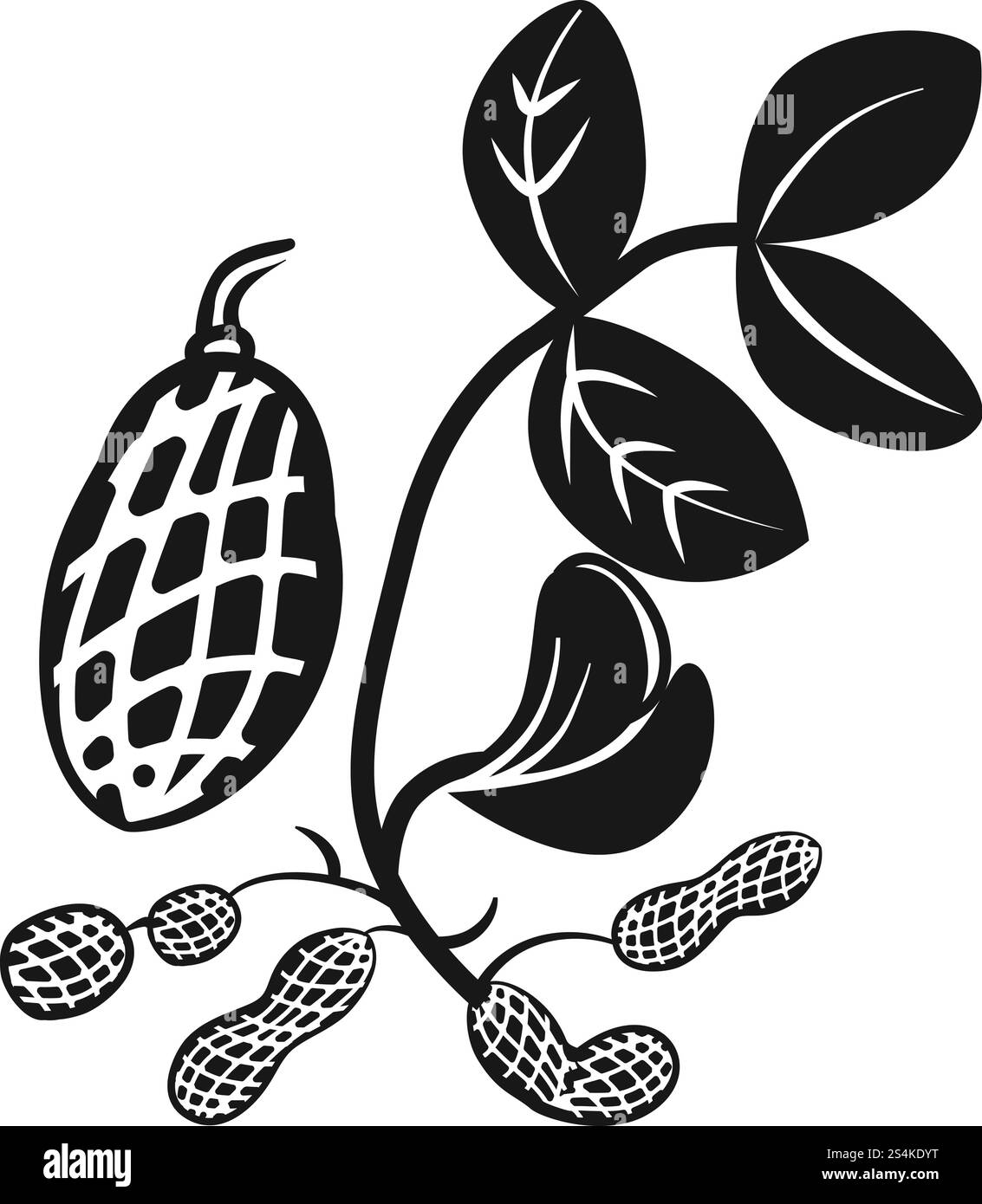 Icona arachidi con dadi. Semplice illustrazione di arachidi con l'icona del vettore NUTS per la progettazione del nastro isolata su sfondo bianco. Arachidi con l'icona delle nocciole, stile semplice Illustrazione Vettoriale