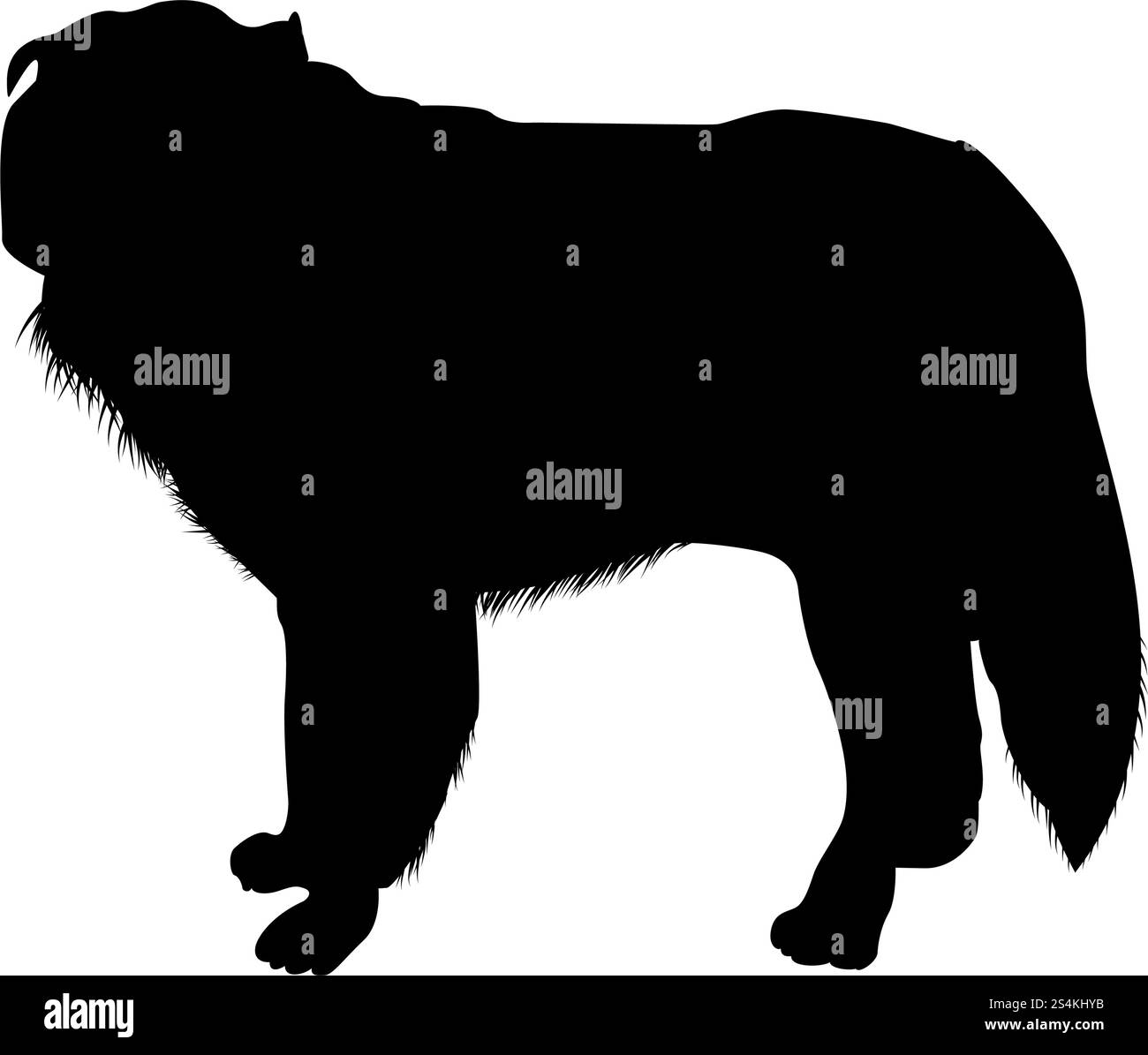 Sheepdog polacco Silhouette. Rifinisci vettore illustrazione. Illustrazione Vettoriale