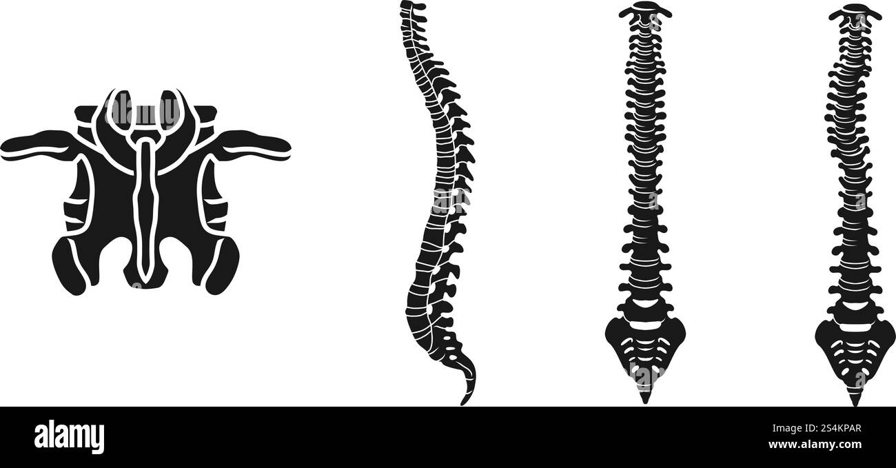 Set di icone della colonna vertebrale. Semplice serie di icone vettoriali della colonna vertebrale per la progettazione Web su sfondo bianco. Set di icone della colonna vertebrale, stile semplice Illustrazione Vettoriale