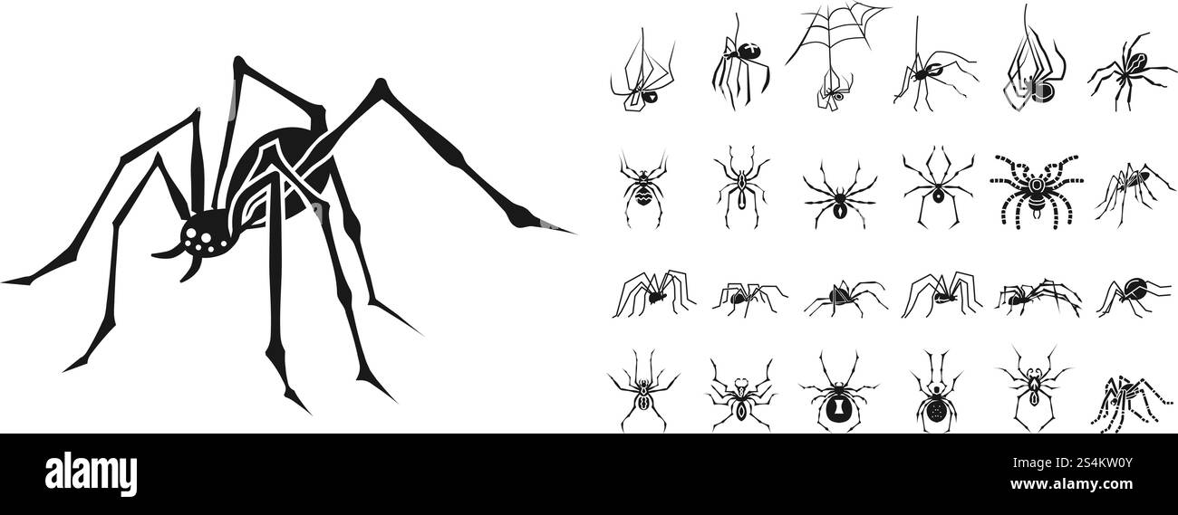Set di icone Spider. Semplice set di icone vettoriali a ragno per la progettazione Web su sfondo bianco. Set di icone Spider, stile semplice Illustrazione Vettoriale