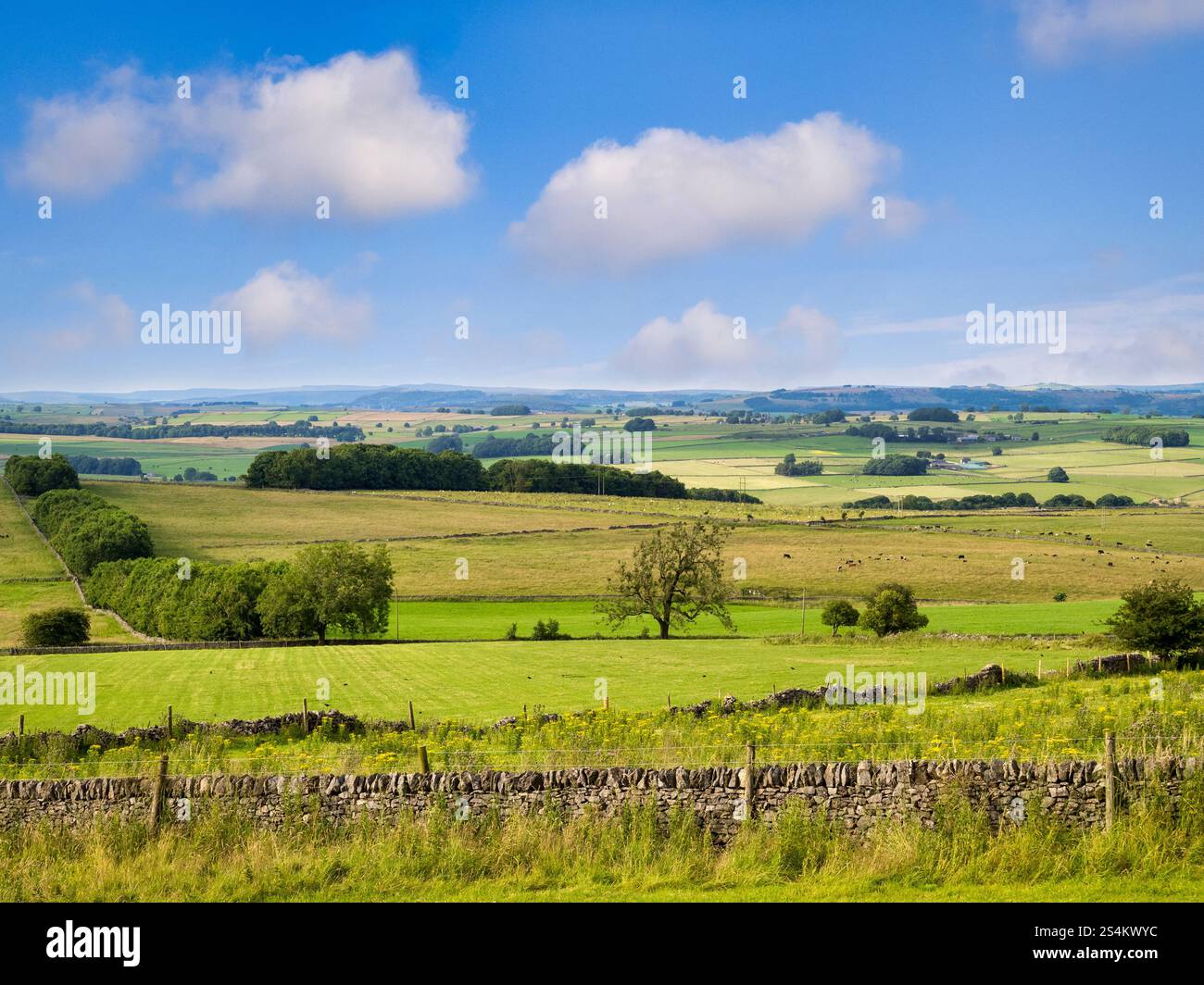Splendida campagna inglese, terreni agricoli vicino ad Arbor Low, Peak District, Derbyshire, Regno Unito Foto Stock