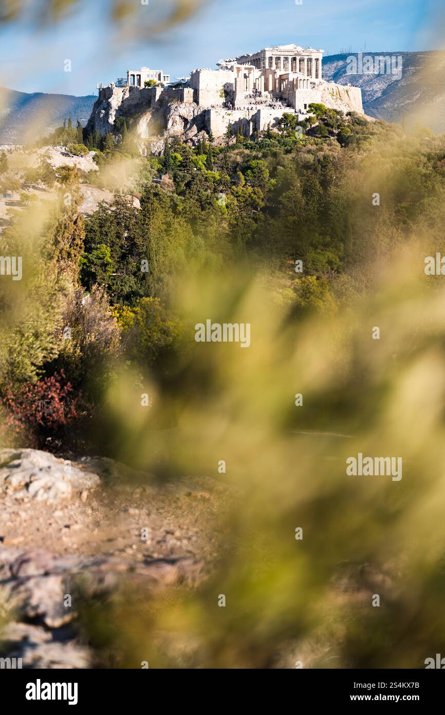 Vista dell'Acropoli attraverso le foglie dal colle di Pnyx, Atene, Grecia Foto Stock