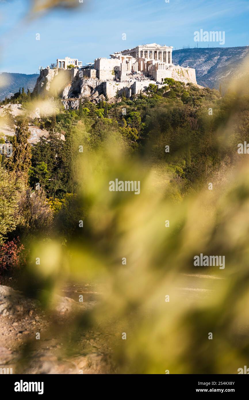 Vista dell'Acropoli attraverso le foglie dal colle di Pnyx, Atene, Grecia Foto Stock
