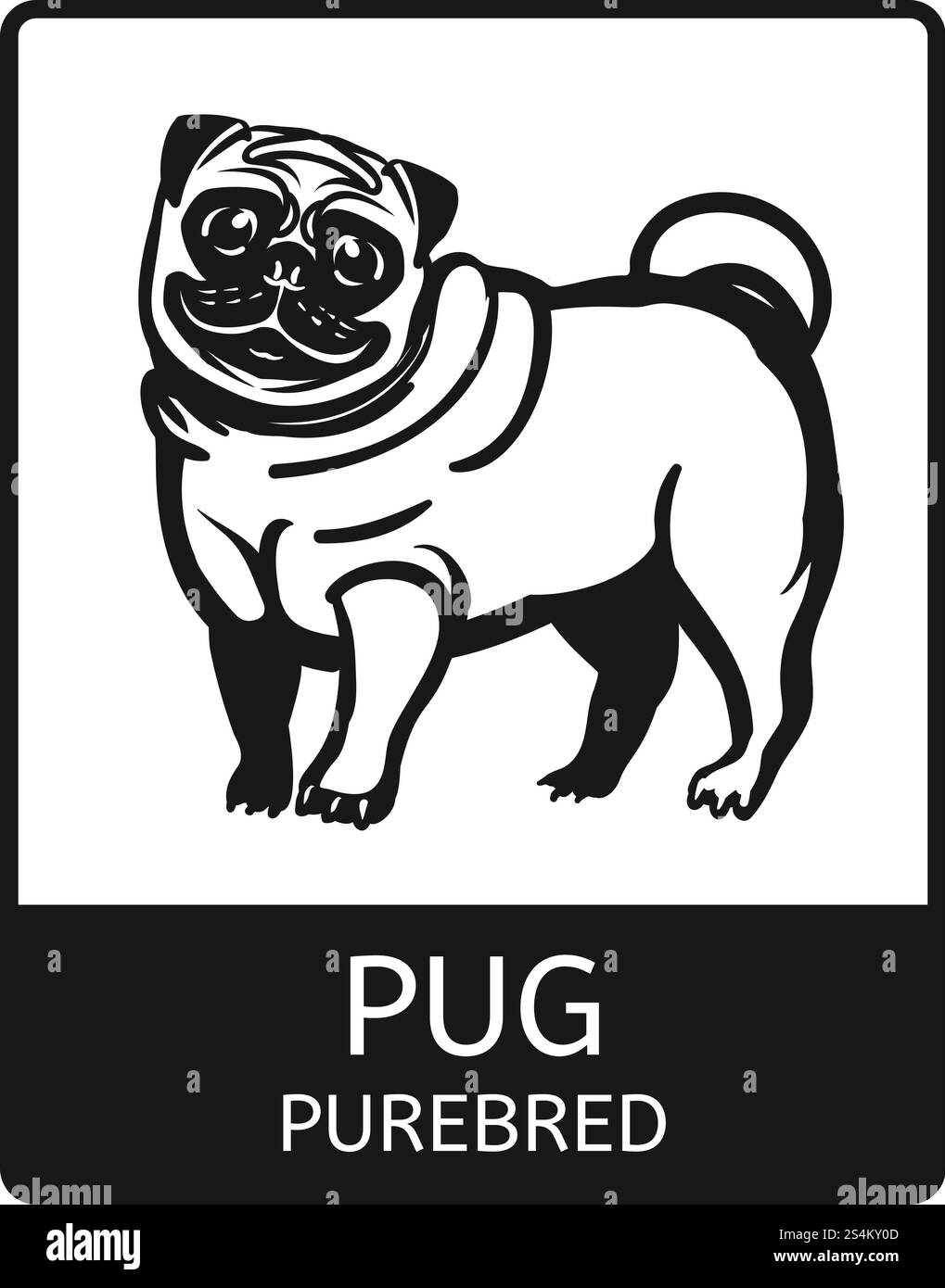 Icona Pug purosangue. Semplice illustrazione dell'icona vettoriale di pug per il web design isolata su sfondo bianco. Icona di Pug purosangue, stile semplice Illustrazione Vettoriale